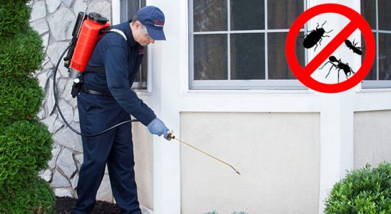 Kulu Akrep İlaçlama böcek ilaçlama ve haşere kontrolü — ilaclama-tr.com